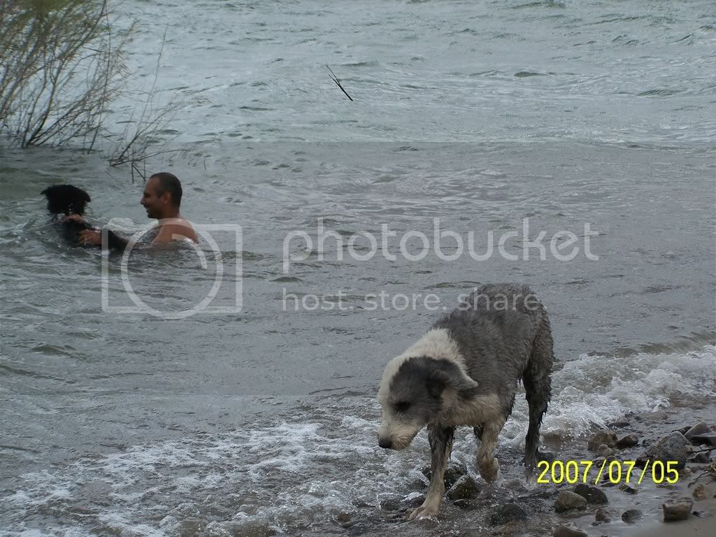 Picture092.jpg