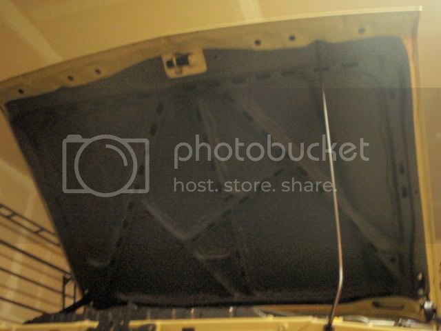 P7310267.jpg