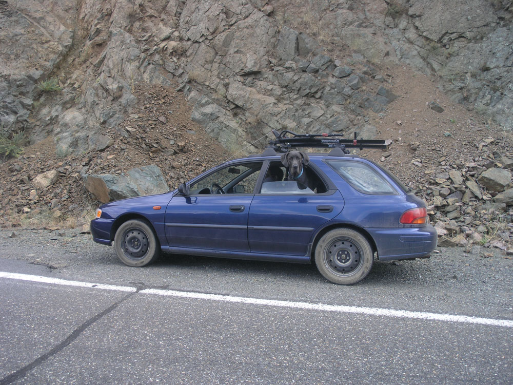 3900672667_db74aa6270_o.jpg