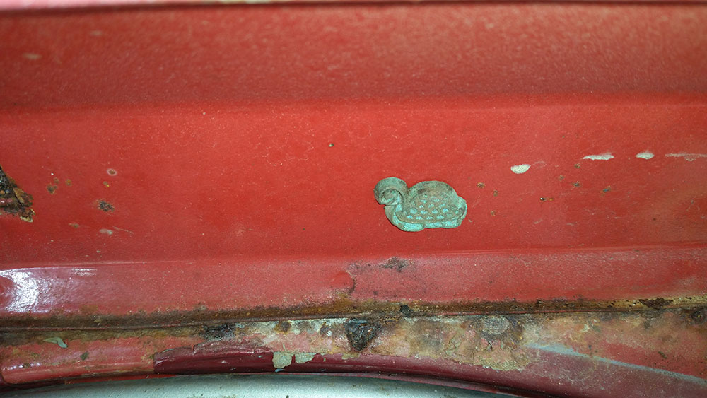 green-turtle.jpg