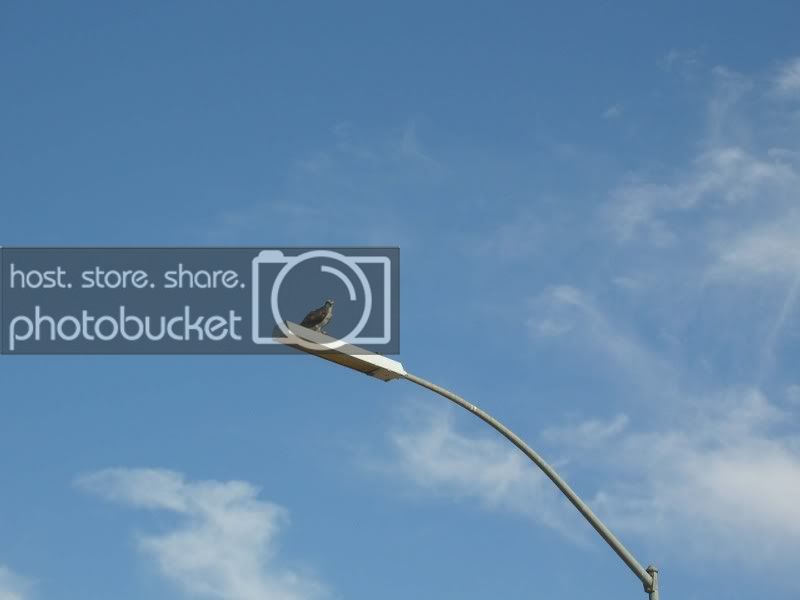 DSCN4804_small.jpg