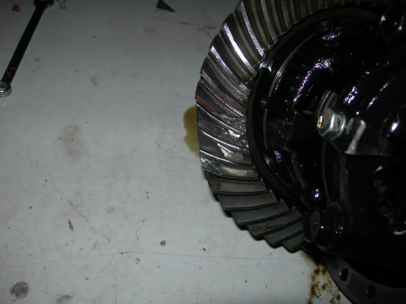 DSCN3224.jpg