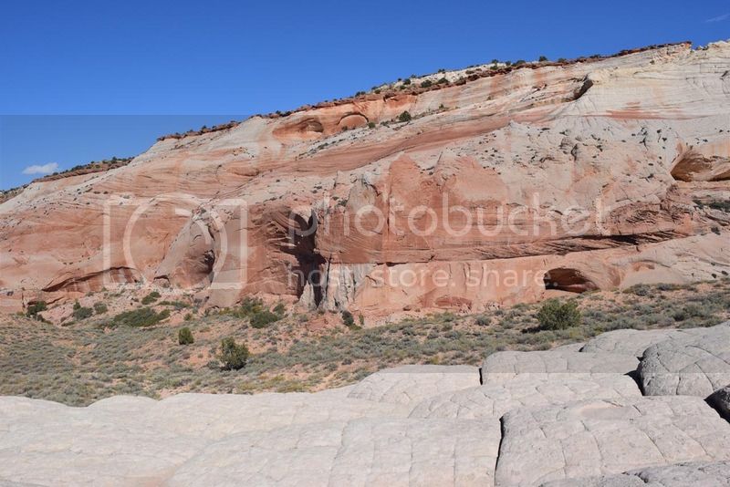 DSC_0278.jpg