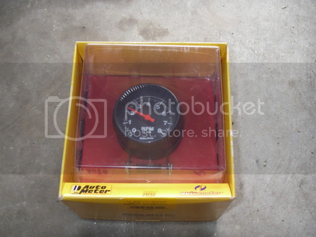 IMGP1455.jpg