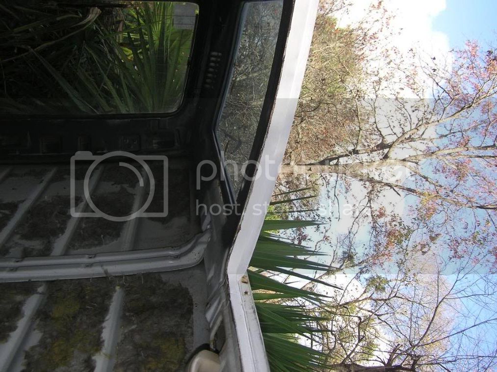 P1010034-3.jpg