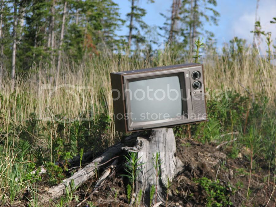 smallIMG_4772.jpg