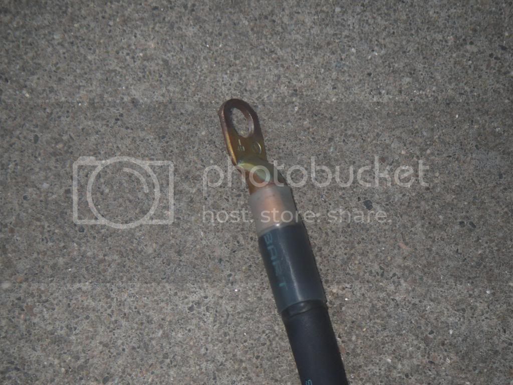 IMGP1646.jpg