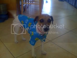 Picture009.jpg