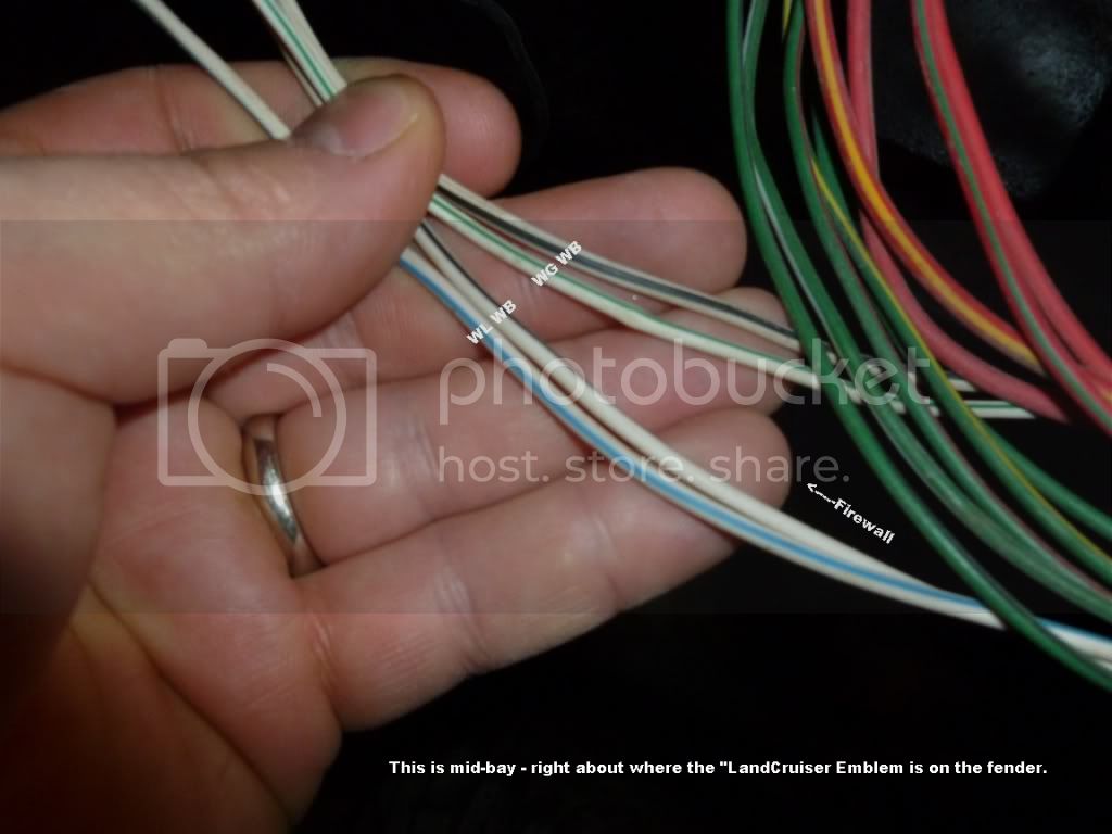 morewiring2.jpg