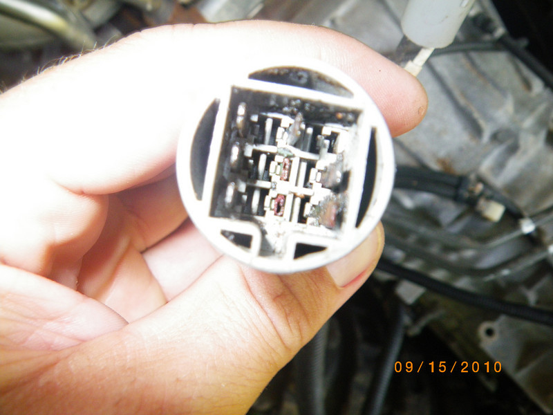 1009172503_ocWuG-L.jpg