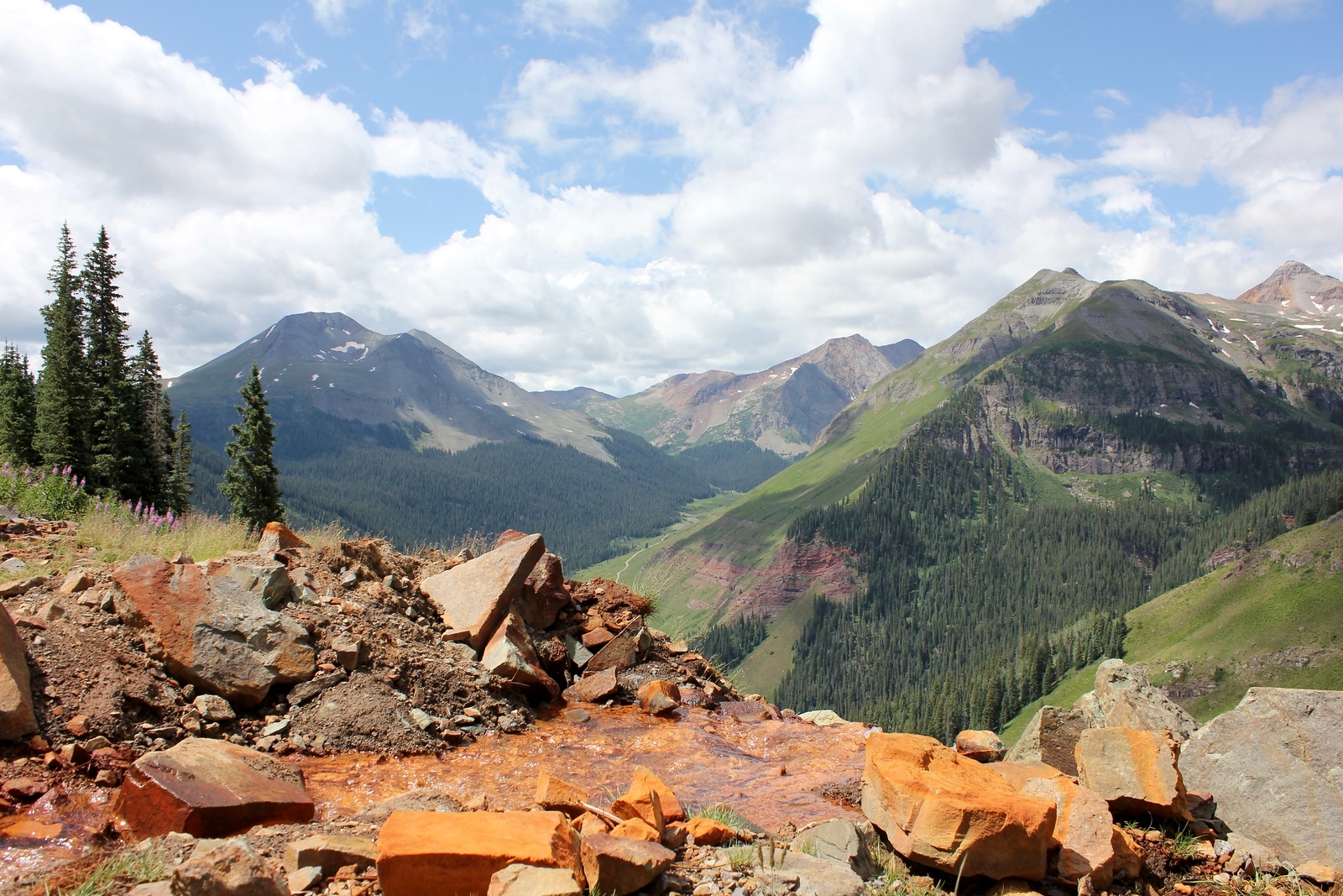 IMG_7514-X3.jpg