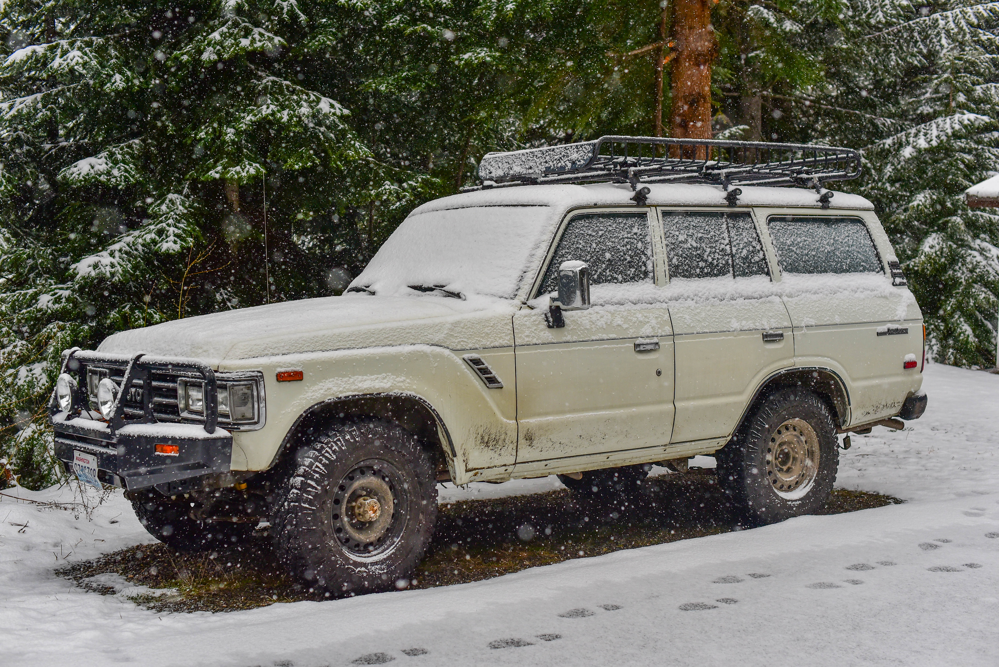 i-8zw9dXV-X4.jpg