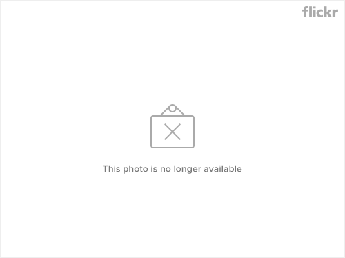 8032044521_2963e30796_c.jpg