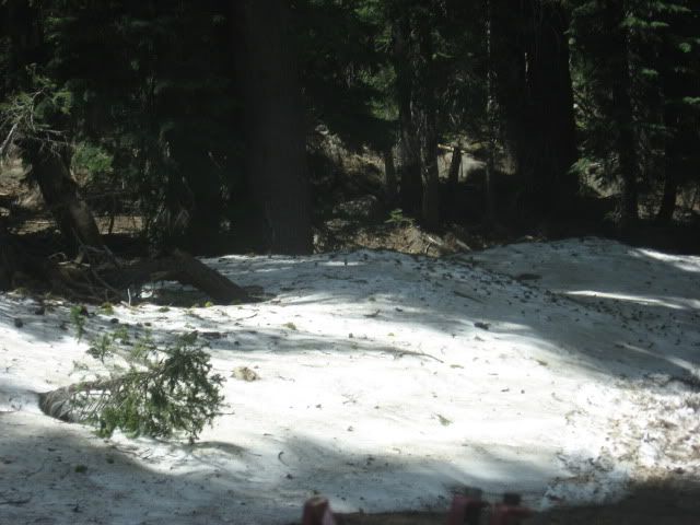 July302011DeerValley008.jpg