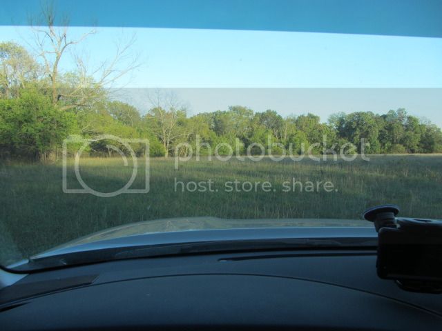 IMG_0586.jpg