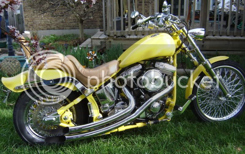 Harley Softail $6000.00 or trade