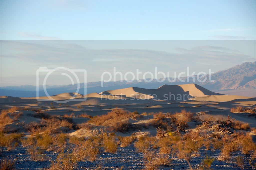 DSC_0175.jpg