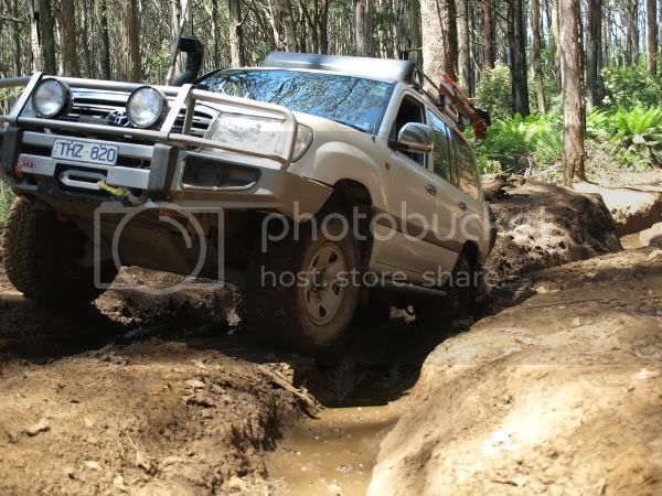bog06.jpg