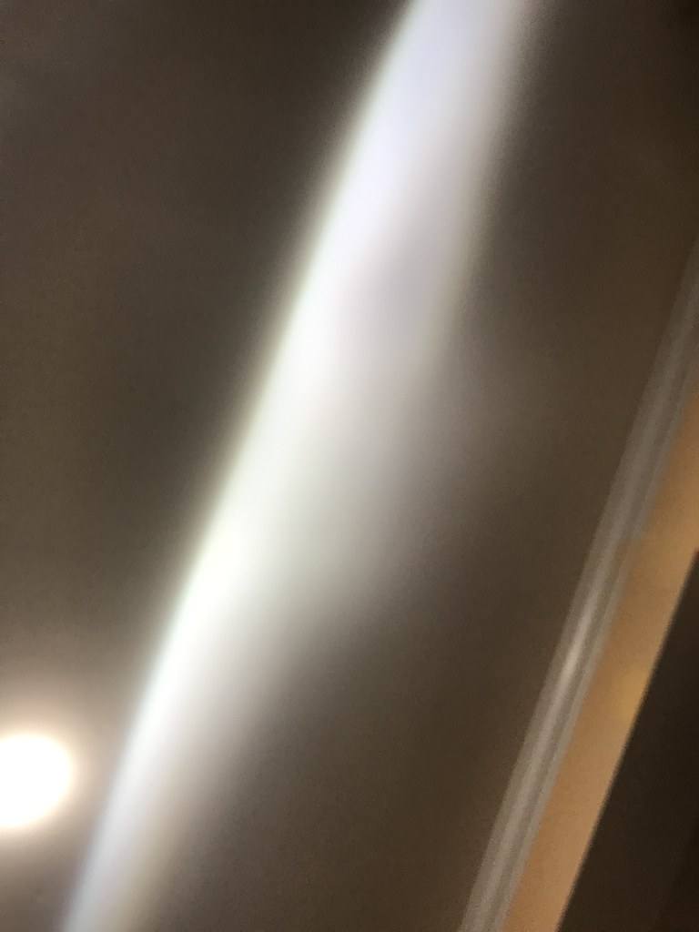50190267376_5e090a11ea_b.jpg