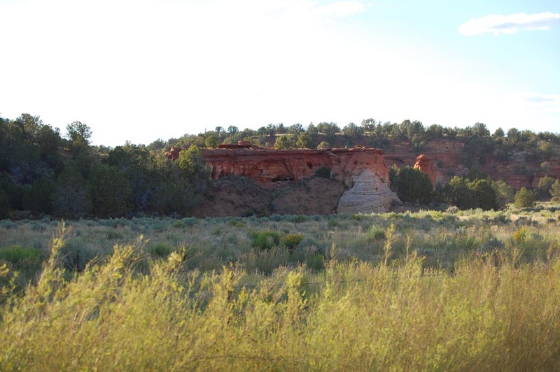 DSC_7735.jpg