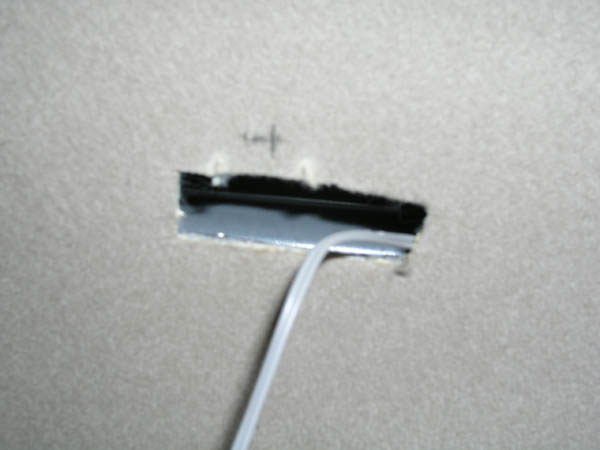 P1010036.JPG