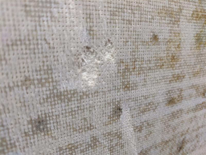 FJRoofReglass5.jpg