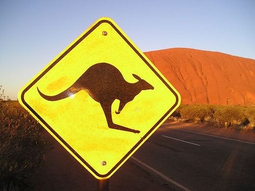 kangaroo-sign.jpg