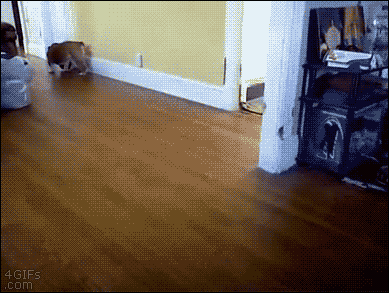 QKLm2ag.gif