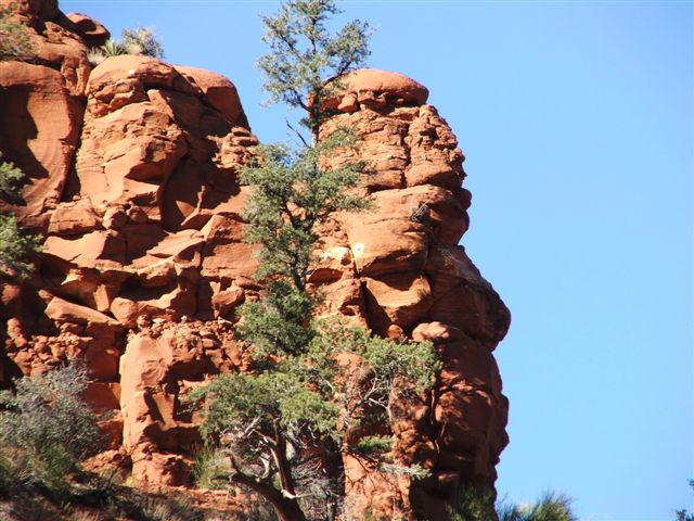 DSCF0162.JPG