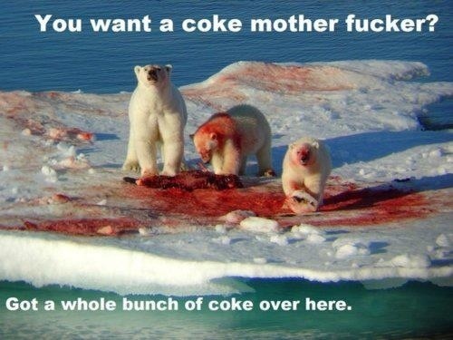 polar-bear-coke.jpg