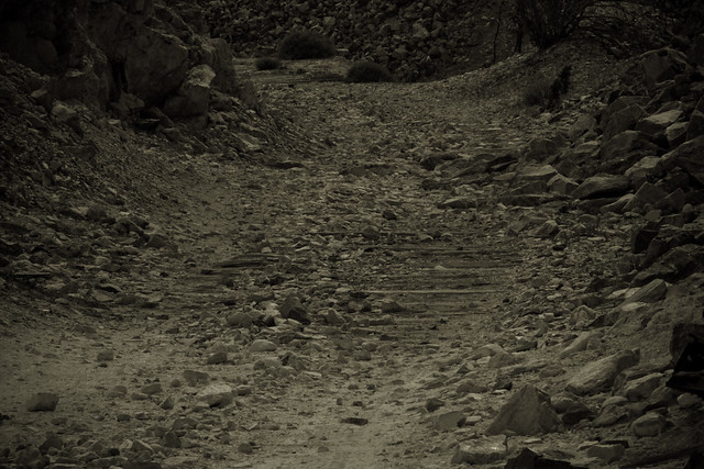 34638769435_99d58d0a91_z.jpg