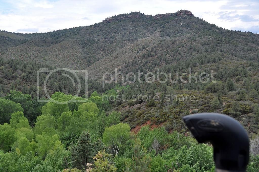 Payson2014_03.jpg