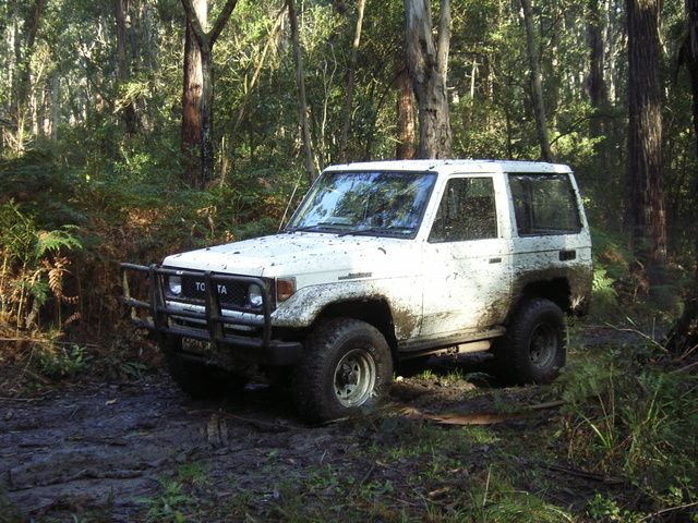 rimg0040.jpg